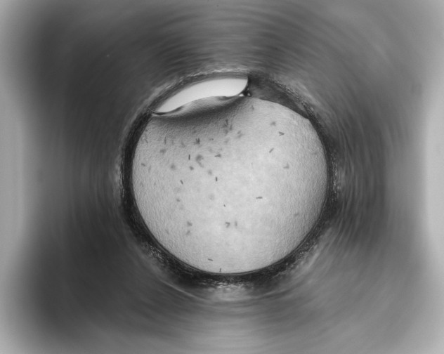 X0000095680256200802051257