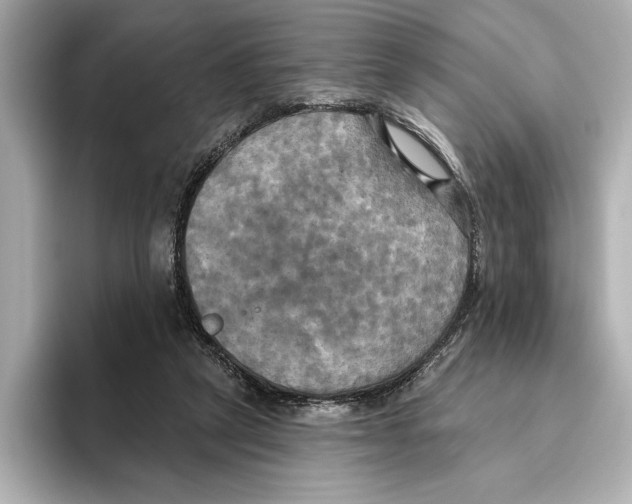 X0000095680257200802051257