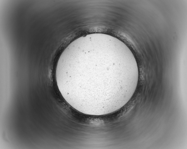 X0000095680258200802051257