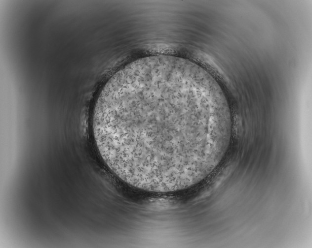 X0000095680259200802051257