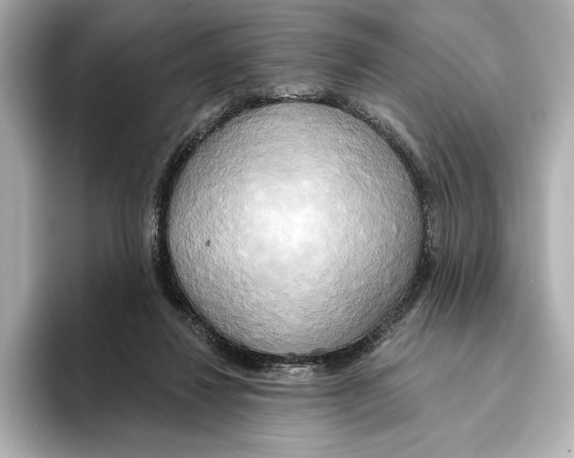 X0000095680260200802051257