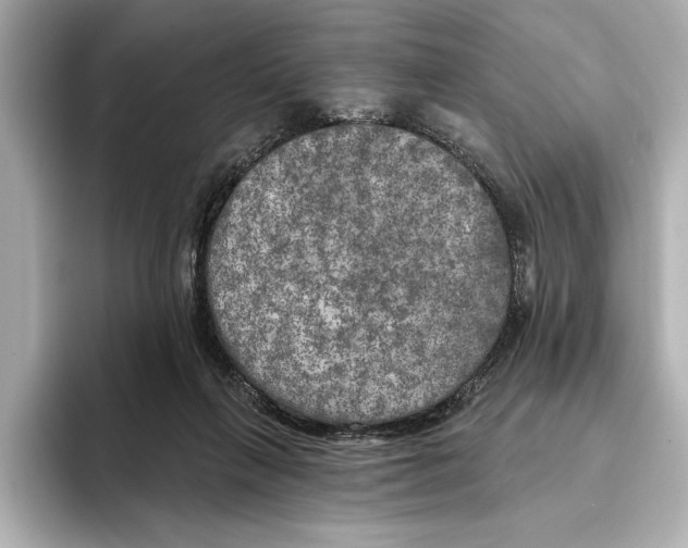 X0000095680263200802051258