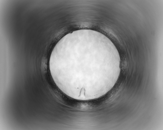 X0000095680264200802051258