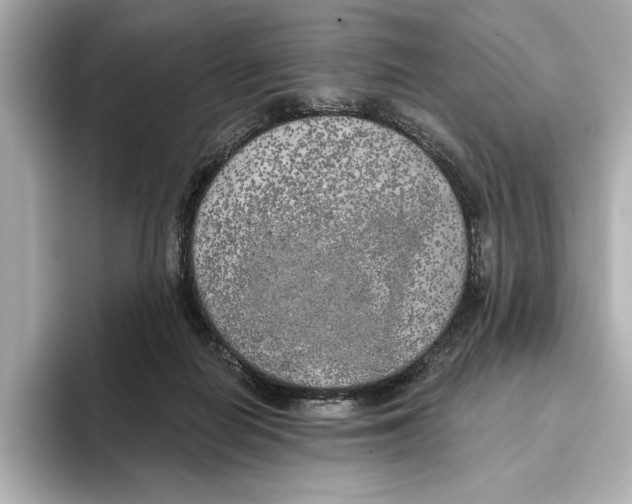 X0000095680266200802051258