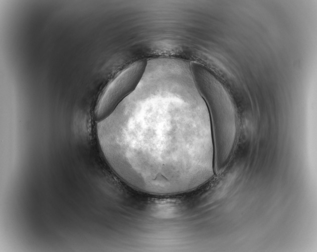 X0000095680268200802051258