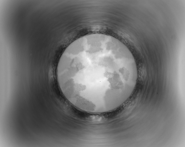 X0000095680272200802051258