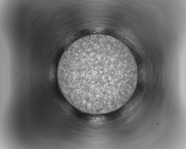 X0000095680274200802051258