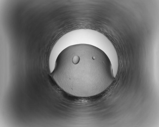 X0000095680276200802051258