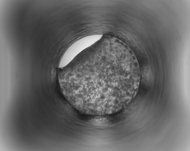 X0000095680278200802051258