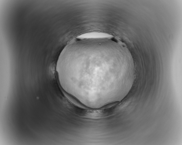 X0000095680288200802051258