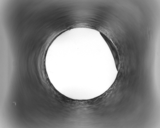 X0000095680289200802051257