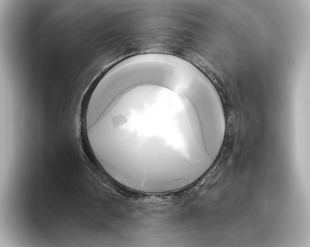 X0000095680290200802051257