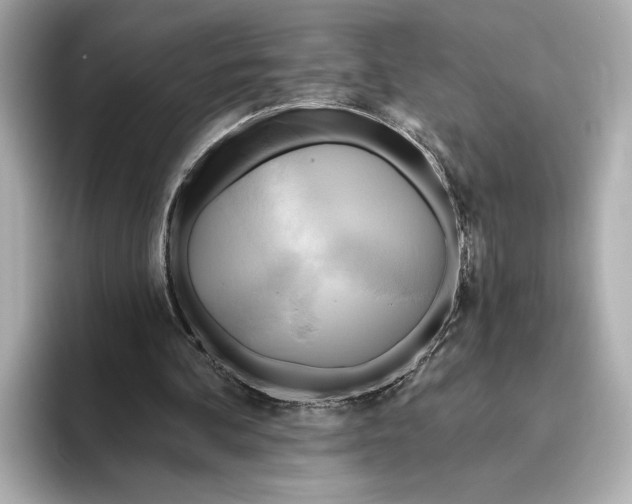 X0000095680292200802051257