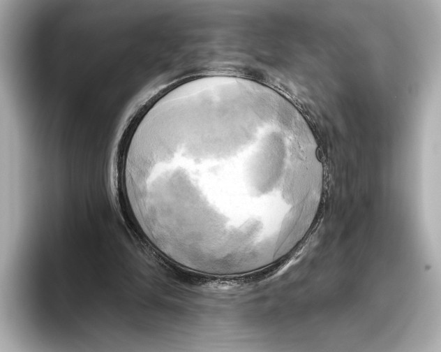 X0000095680294200802051257