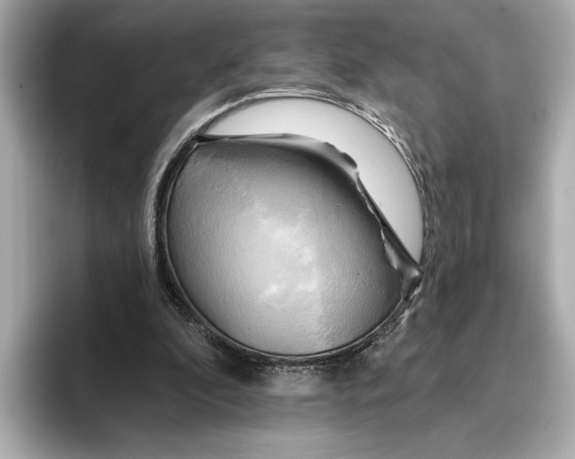 X0000095680296200802051257