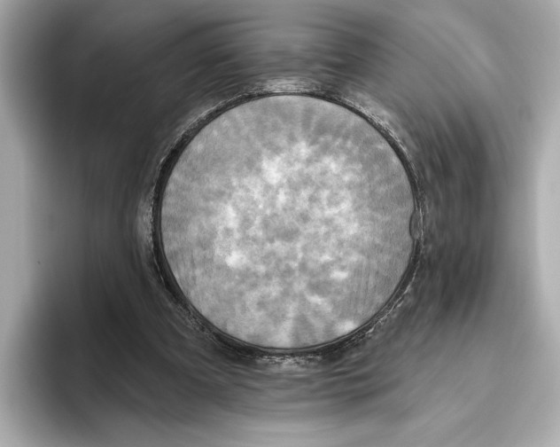 X0000095680297200802051257