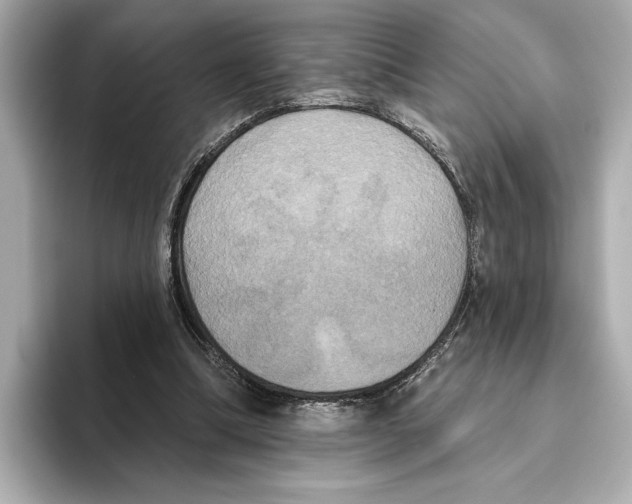 X0000095680298200802051257