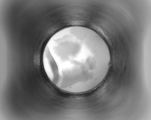 X0000095680299200802051257