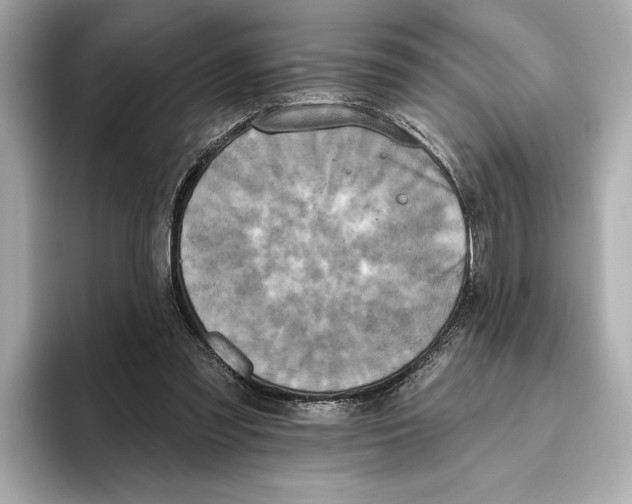 X0000095680301200802051257