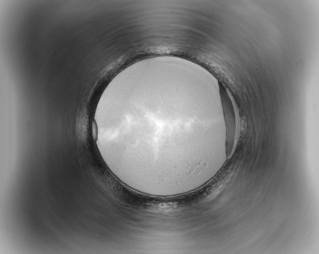 X0000095680304200802051257