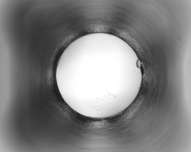 X0000095680306200802051257