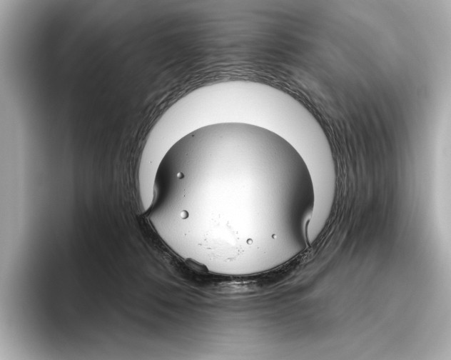 X0000095680320200802051257