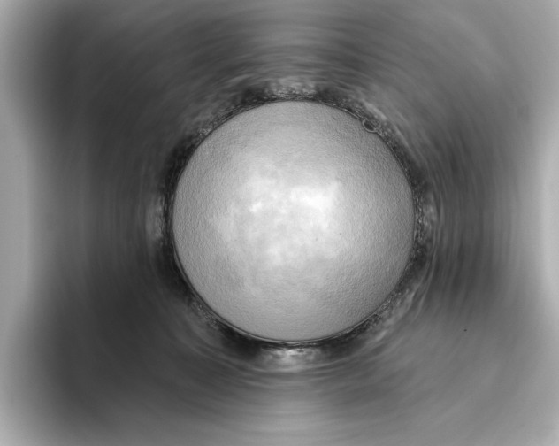 X0000095680323200802051257