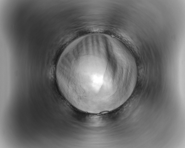 X0000095680325200802051257