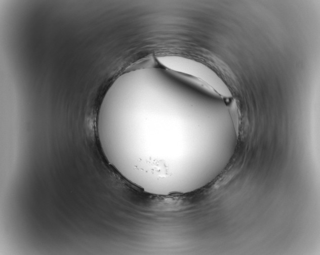 X0000095680329200802051257