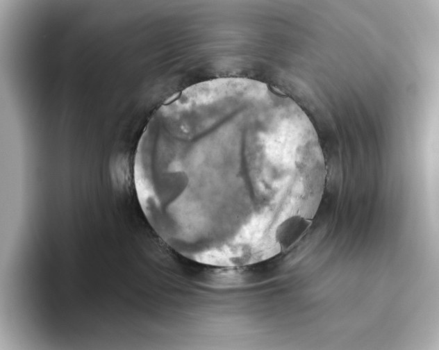 X0000095680335200802051257