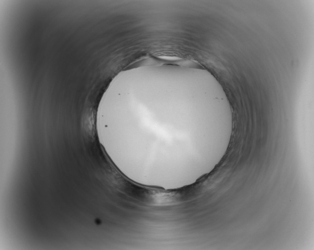 X0000095680336200802051257