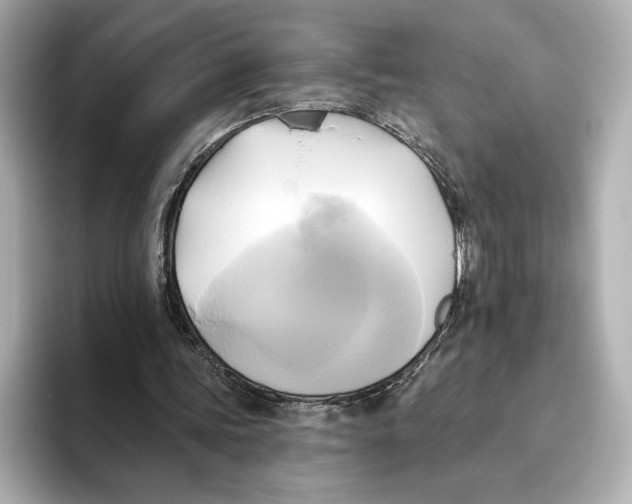 X0000095680339200802051256