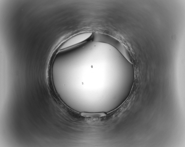 X0000095680340200802051256