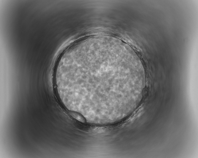 X0000095680341200802051256