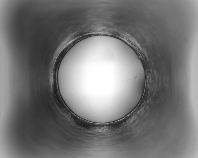 X0000095680344200802051256