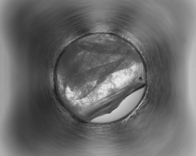 X0000095680345200802051256