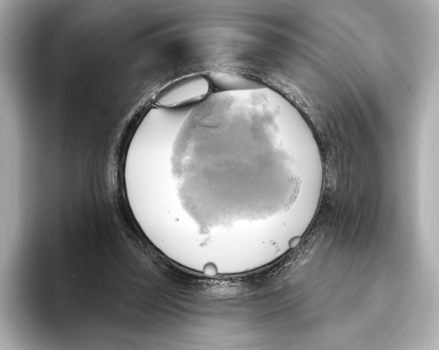 X0000095680347200802051256