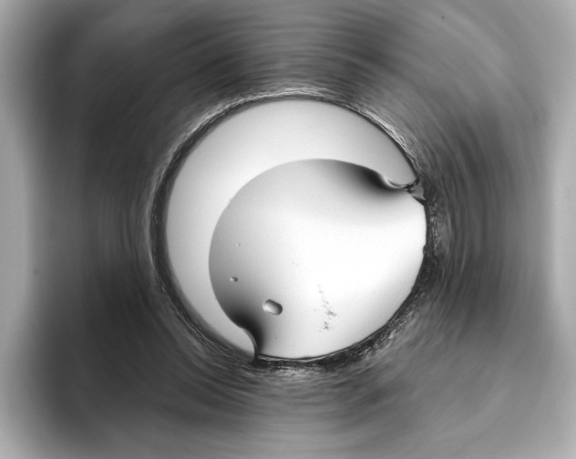 X0000095680350200802051256