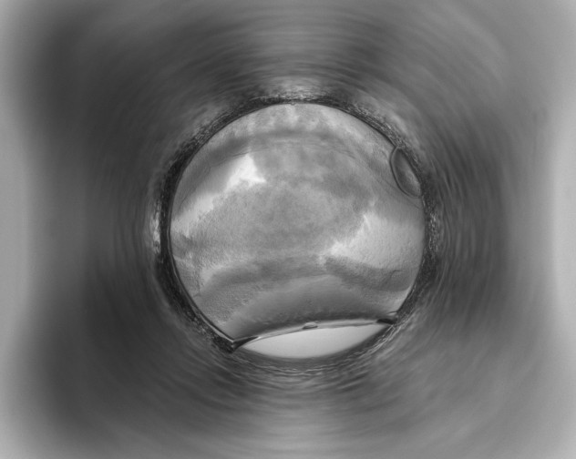 X0000095680358200802051256