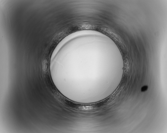 X0000095680361200802051256