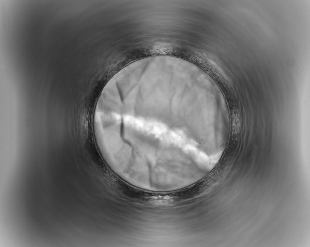 X0000095680363200802051256