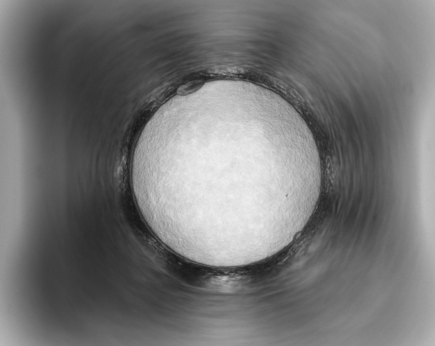 X0000095680364200802051256