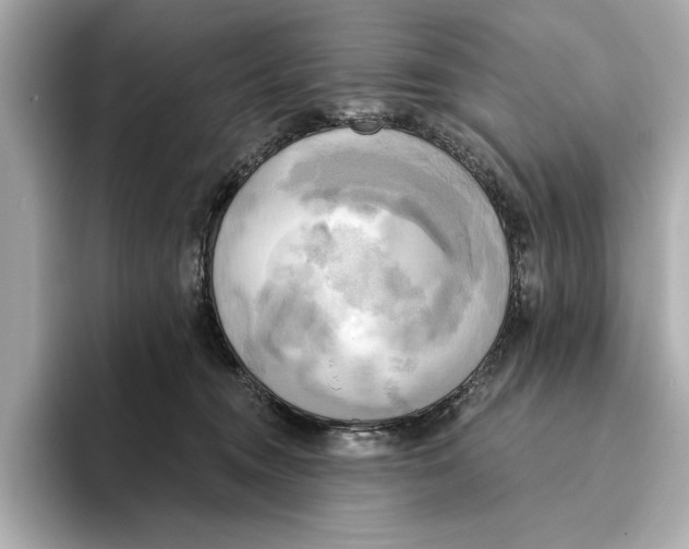 X0000095680372200802051256