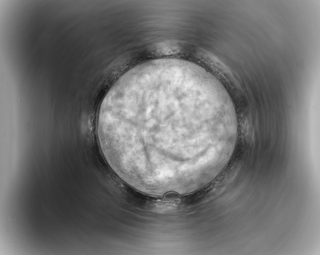 X0000095680373200802051256