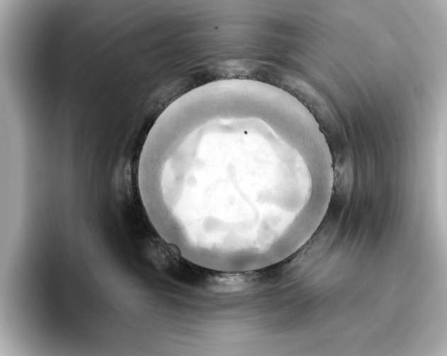 X0000095680381200802051257