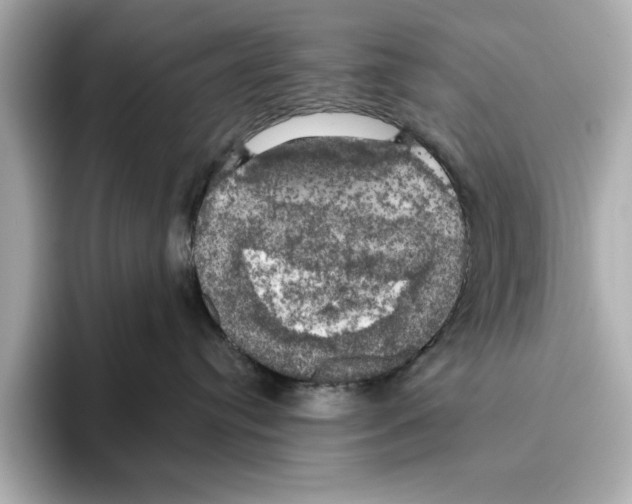 X0000095680384200802051257