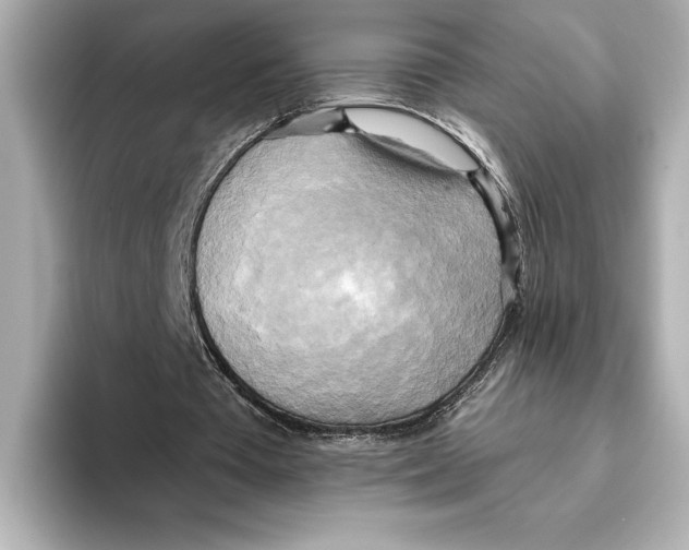 X0000095680385200802051256