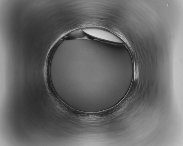 X0000095680387200802051256