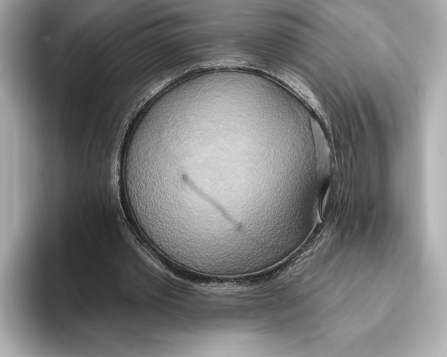 X0000095680389200802051256