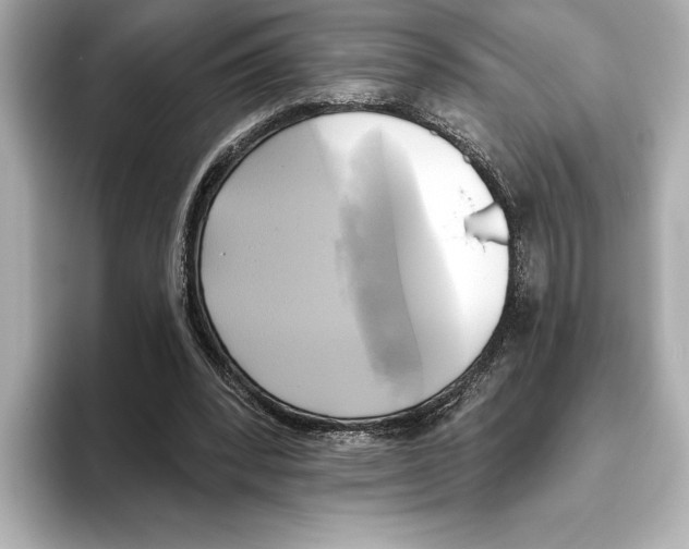 X0000095680392200802051256